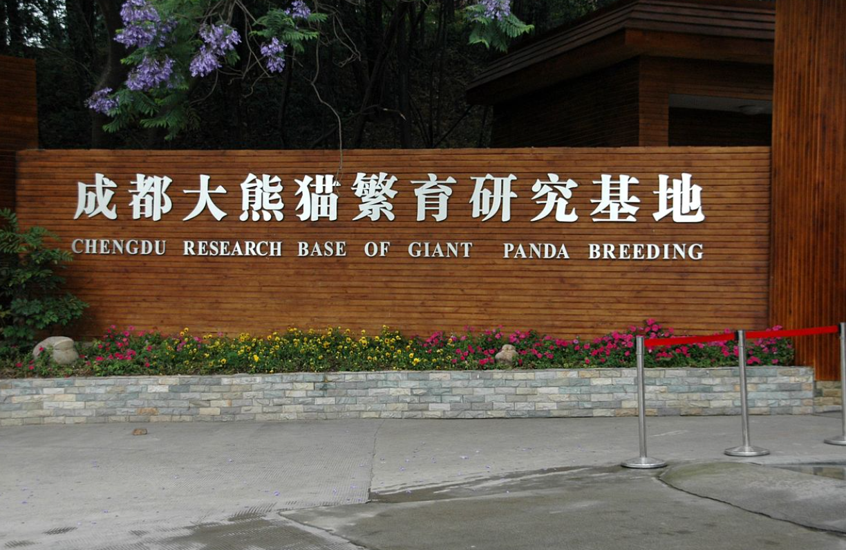Outdoor Structure